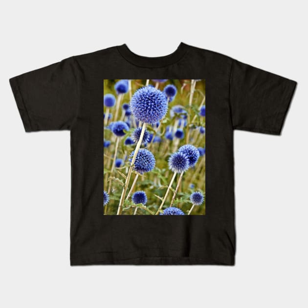 Blue Wild Thistles Kids T-Shirt by SILVA_CAPITANA